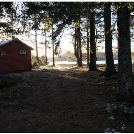 Cabin In The Woods, Lolandsvannet Near Kristiansand Vennesla Kültér fotó