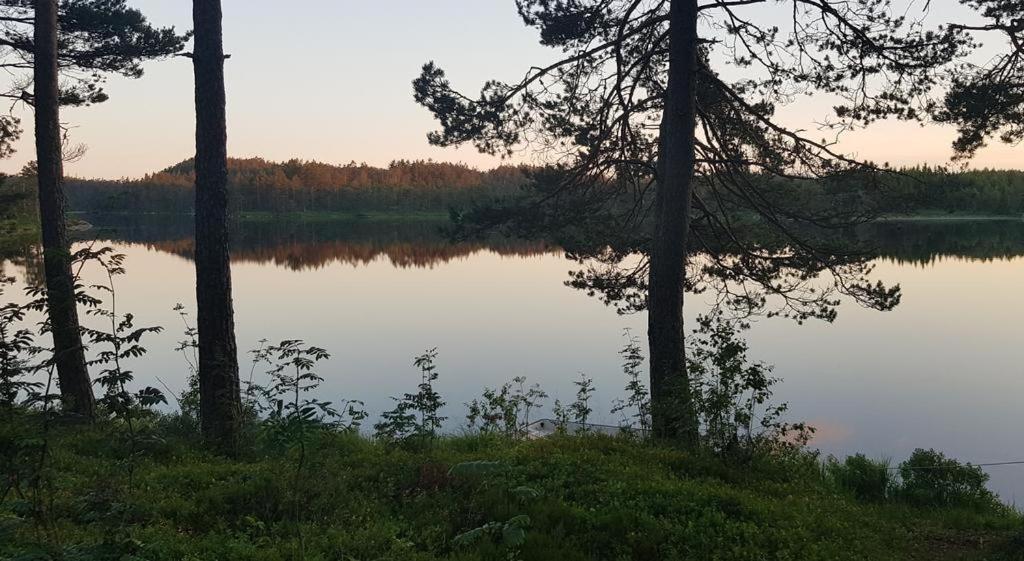 Cabin In The Woods, Lolandsvannet Near Kristiansand Vennesla Kültér fotó