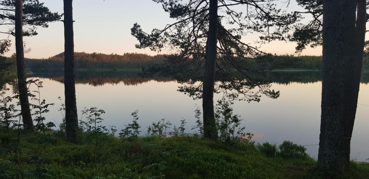 Cabin In The Woods, Lolandsvannet Near Kristiansand Vennesla Kültér fotó