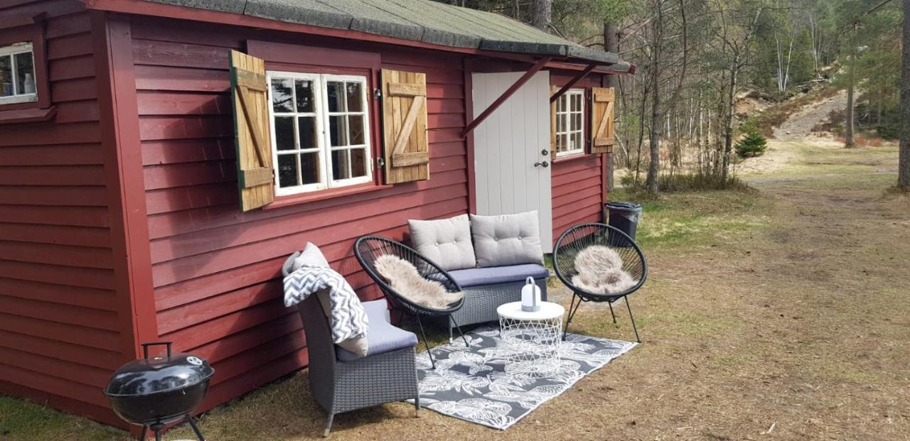 Cabin In The Woods, Lolandsvannet Near Kristiansand Vennesla Kültér fotó