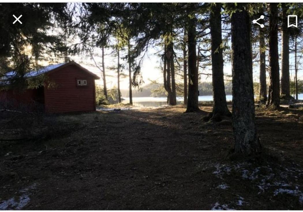 Cabin In The Woods, Lolandsvannet Near Kristiansand Vennesla Kültér fotó